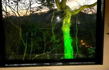 Casa do Alto Santa Mônica- Natureza ao seu redor - Foto 23