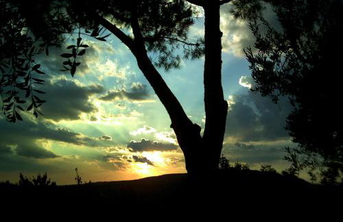 Podere La Casuccia - Foto 43