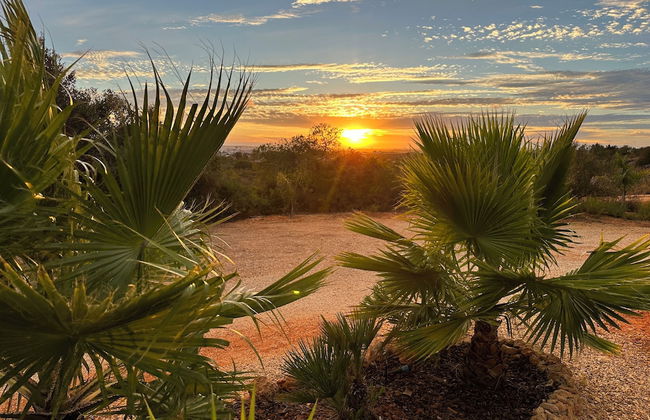 Oasis Surfcamp - Foto 42