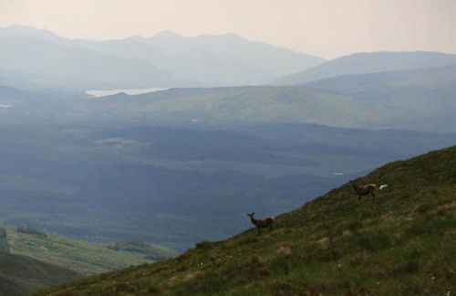 The Little Houses - Foto 15