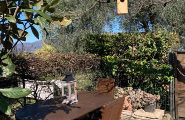 Il Giardino Segreto Gardasee Ferienhaus - Foto 29