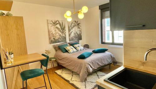 DOWNTOWN COCOON - CENTRE VILLE - WiFi - NETFLIX - Foto 4