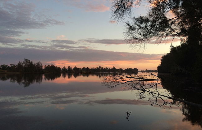 Mansfield on the Manning - Photo 35