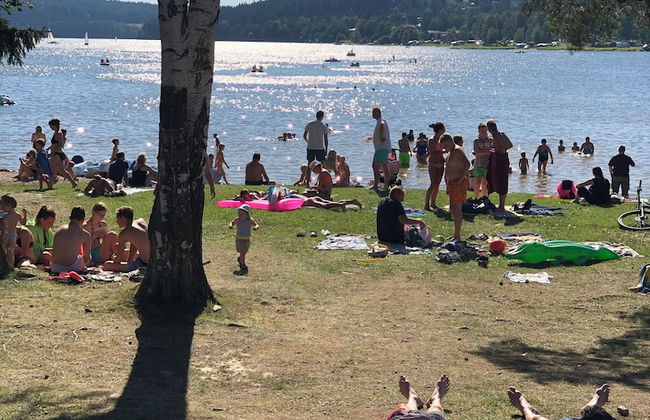 Charming 3-bed Villa in Lipno nad Vltavou - Photo 23