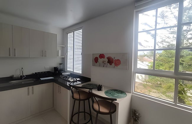 Apartaestudios San Fernando - Photo 42