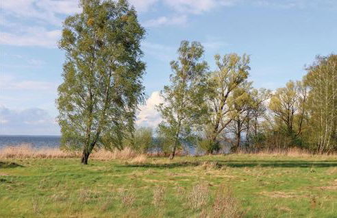 Nice Apartment In Rechlin With Sauna - Photo 29