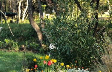 La Villa du Castel - Foto 36