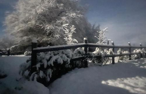 Winstitchen Cottage situated near the River Barle - Foto 68