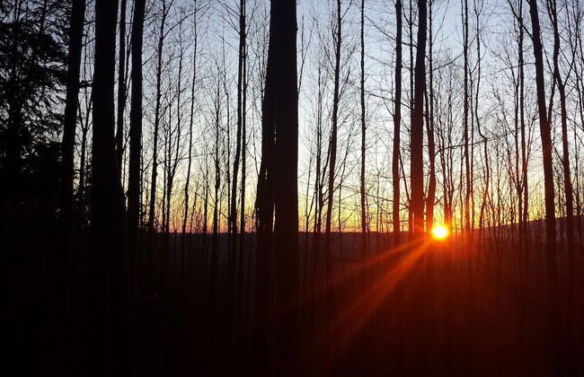 Ski-Lake Cottage Nízke Tatry - Foto 45