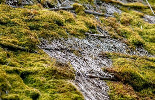 StellaLuca Resort - Foto 32