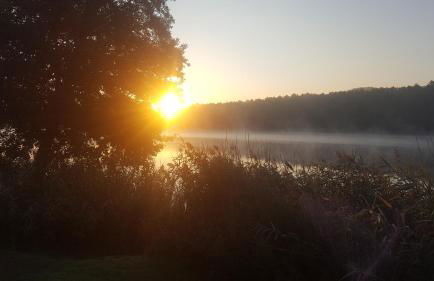 Ferienhaus am See - Foto 11