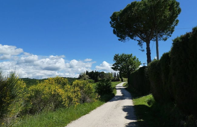 Panoramic Villa in Tuscany Rolling Hill, Well Connected, Everyday new Journey to - Foto 39