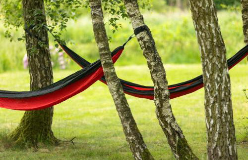 WildLandHaus - Photo 8