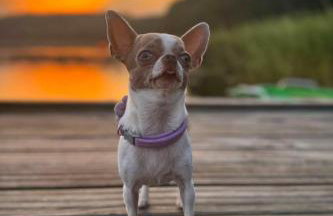 Pasterzewo 19 - Domki na Mazurach - Foto 72