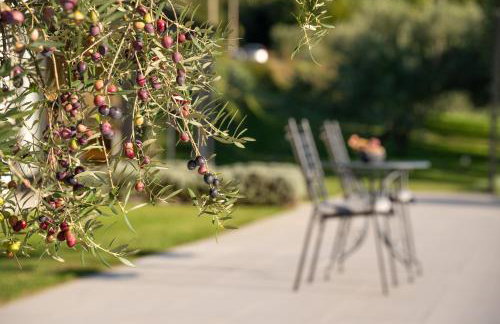 Casa Mille Olivi - Peaceful Lake View House, Private 50m2 Pool, near Motovun - Photo 31