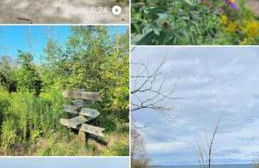 Wonderful 4BR Home - Foto 22