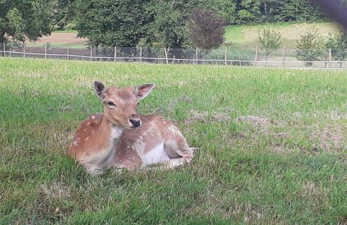 Kuća za odmor DIVA*** - Photo 30