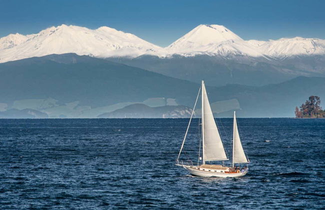 Māori Rock Carvings Sailing Tour - Photo 7