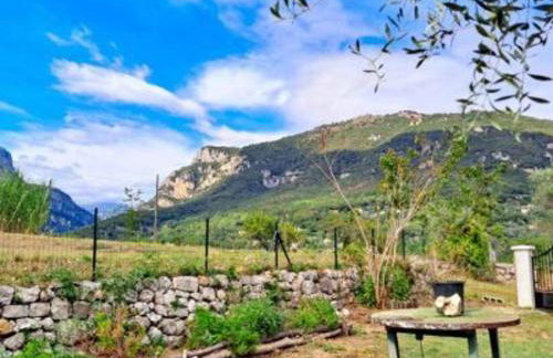 House 300m river 9kms Grasse 30mn Nice Cannes - Foto 49