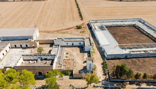 Masseria Delle Api - Foto 2