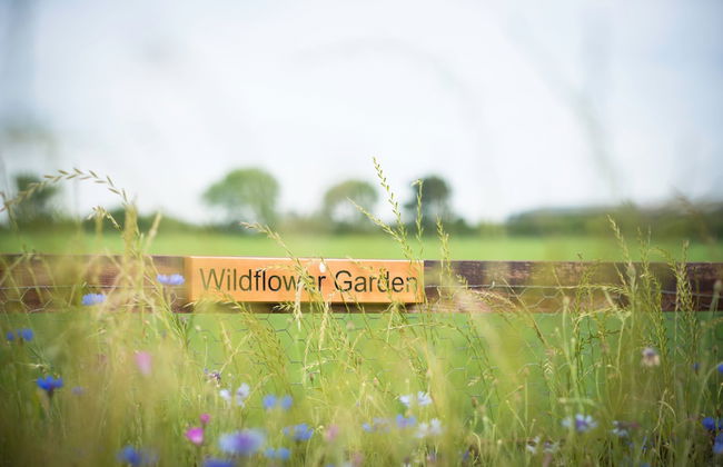 Morndyke Shepherds' Huts - Foto 14