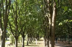 ZEIT für DICH - Foto 67