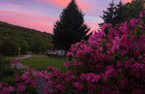 The Blue House On The Hill Catskills—Views - Photo 44
