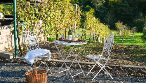 VAL HILLS Rural Holiday House - Foto 5