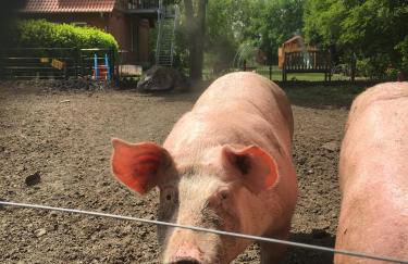 Ramakers Hof - Foto 27