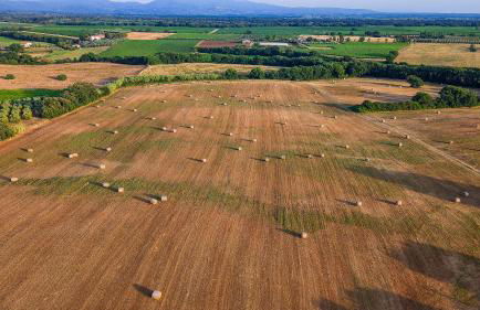 Agriturismo I Debbi - Foto 66