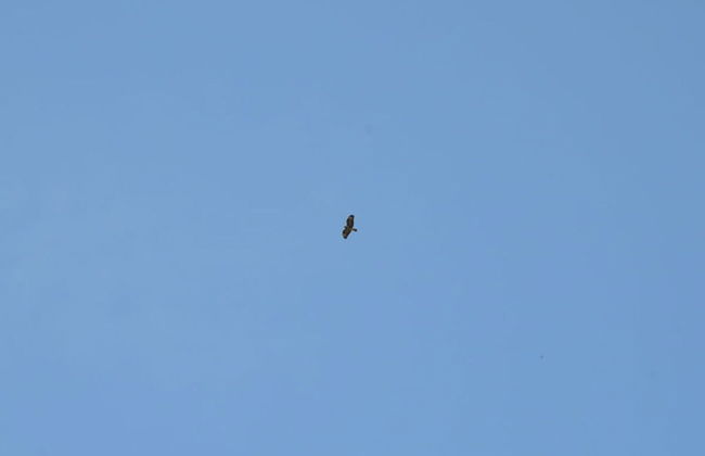 Holiday Apartment Nature View - Foto 7