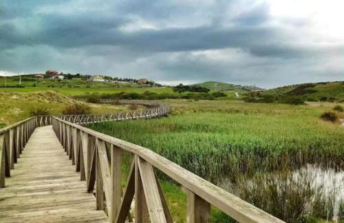 Apartamento Cuchia - Foto 25