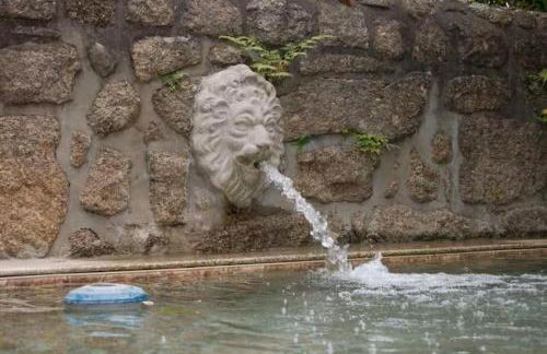 Casa com Piscina Privada de 10m e Jardim, até 8 pessoas, perto do Porto - Foto 8