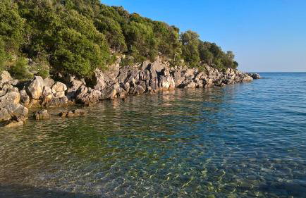 Apartments Krušvina - Foto 46