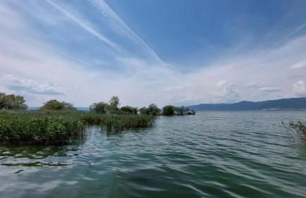 VILLA SEVI - Foto 45