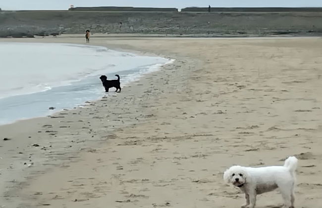 Unique 2-bed Cabin in Llanelli - Foto 19