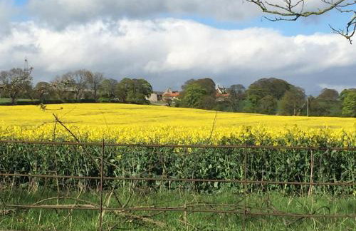 Brooksides Byre Durham Country Cottage - Photo 22