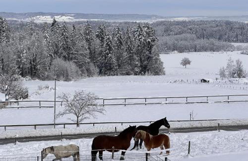 XXL Panoramablick mit gratis KönigsCard - Foto 30