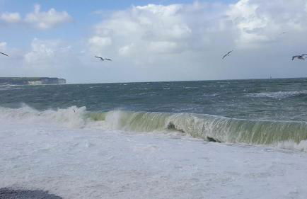 Aux Premières Loges - Foto 62