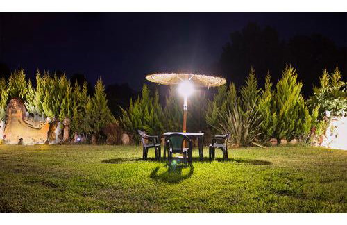 Medusa Gorgon - Photo 14