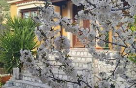 Agrampeli Villa - Photo 36