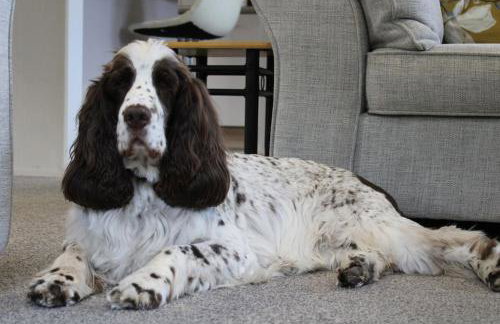 Platinum lodge on Carlton Meres holiday Park - Foto 4