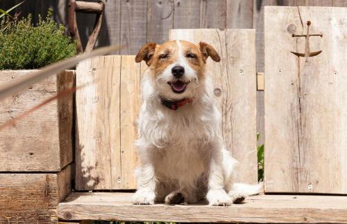 1 Bed in Northiam oc-bt033 - Photo 10