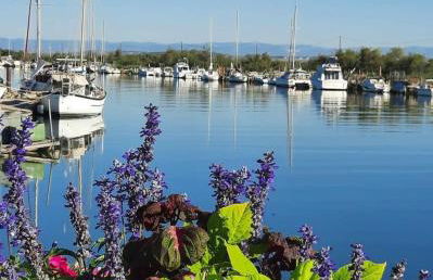 Vue imprenable sur mer- La perle de Saint Pierre La Mer - Foto 32