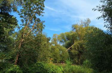 Ferienwohnung Burgblick - Photo 20