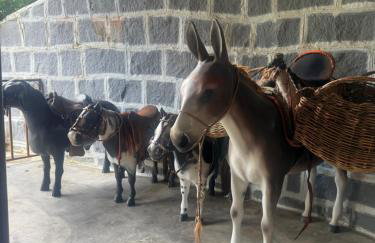 Apt Flat 225 Condomínio Pedra do Rodeadouro - Foto 4