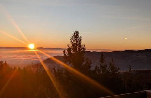 Les 3 Zepp - Foto 14