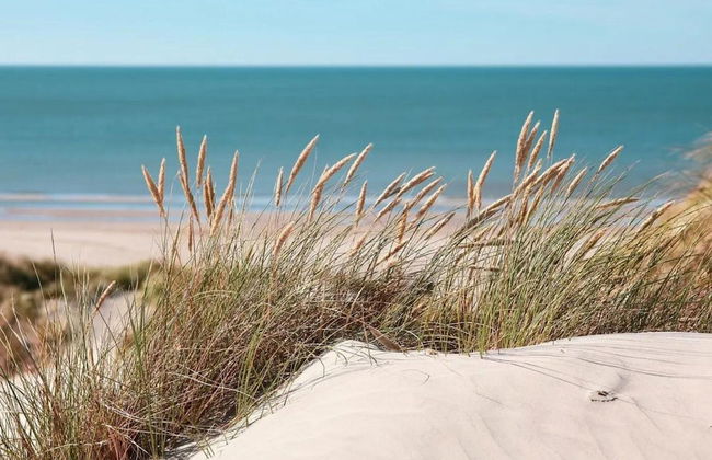 Nice Countryside Home With Garden - Photo 38