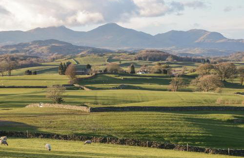 8 Woodlands - Foto 25