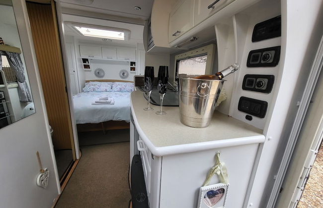 Glamping With Llamas - Foto 53